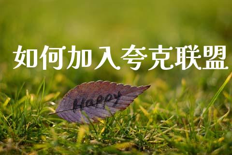 如何加入夸克联盟_https://m.jnlaobingbanjia.com_基金市场_第1张