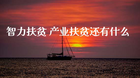 智力扶贫 产业扶贫还有什么_https://m.jnlaobingbanjia.com_区块链_第1张