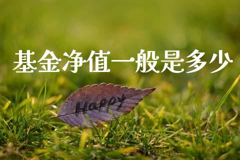 基金净值一般是多少_https://m.jnlaobingbanjia.com_基金市场_第1张