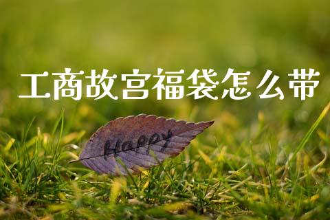 工商故宫福袋怎么带_https://m.jnlaobingbanjia.com_基金市场_第1张