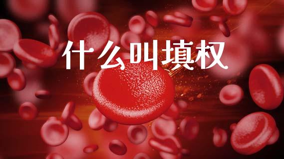 什么叫填权_https://m.jnlaobingbanjia.com_理财规划_第1张