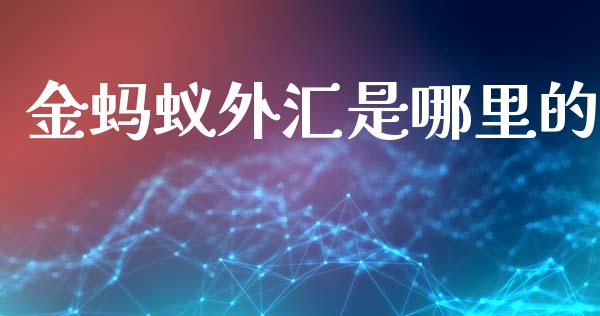 金蚂蚁外汇是哪里的_https://m.jnlaobingbanjia.com_理财规划_第1张
