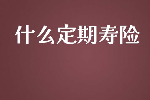 什么定期寿险_https://m.jnlaobingbanjia.com_股市新闻_第1张