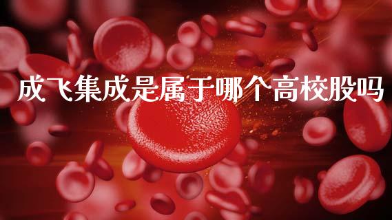成飞集成是属于哪个高校股吗_https://m.jnlaobingbanjia.com_理财规划_第1张