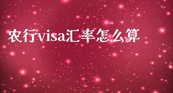 农行visa汇率怎么算_https://m.jnlaobingbanjia.com_理财规划_第1张