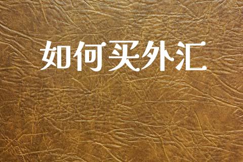 如何买外汇_https://m.jnlaobingbanjia.com_区块链_第1张