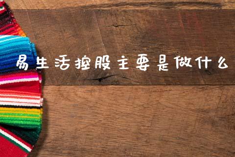 易生活控股主要是做什么_https://m.jnlaobingbanjia.com_金融监管_第1张