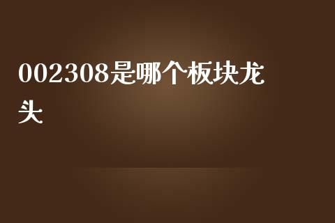 002308是哪个板块龙头_https://m.jnlaobingbanjia.com_全球市场_第1张