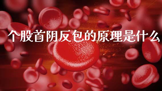 个股首阴反包的原理是什么_https://m.jnlaobingbanjia.com_理财规划_第1张