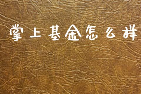 掌上基金怎么样_https://m.jnlaobingbanjia.com_基金市场_第1张