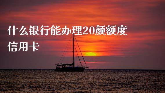 什么银行能办理20颜额度信用卡_https://m.jnlaobingbanjia.com_金融监管_第1张