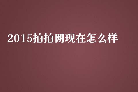 2015拍拍网现在怎么样_https://m.jnlaobingbanjia.com_基金市场_第1张