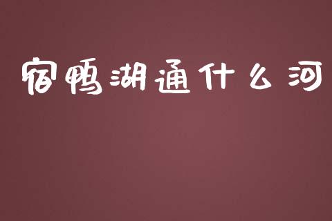 宿鸭湖通什么河_https://m.jnlaobingbanjia.com_金融监管_第1张