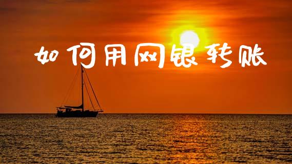 如何用网银转账_https://m.jnlaobingbanjia.com_全球市场_第1张