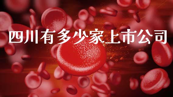 四川有多少家上市公司_https://m.jnlaobingbanjia.com_全球市场_第1张