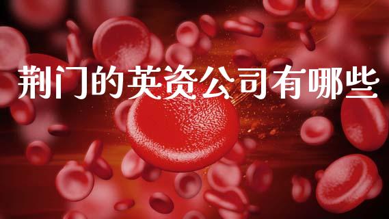 荆门的英资公司有哪些_https://m.jnlaobingbanjia.com_理财规划_第1张