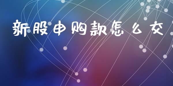 新股申购款怎么交_https://m.jnlaobingbanjia.com_金融监管_第1张
