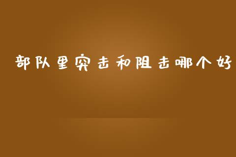 部队里突击和阻击哪个好_https://m.jnlaobingbanjia.com_理财规划_第1张