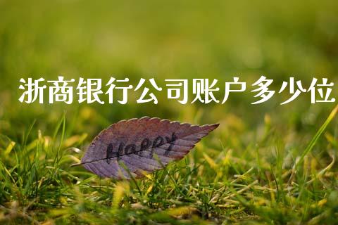 浙商银行公司账户多少位_https://m.jnlaobingbanjia.com_股市新闻_第1张