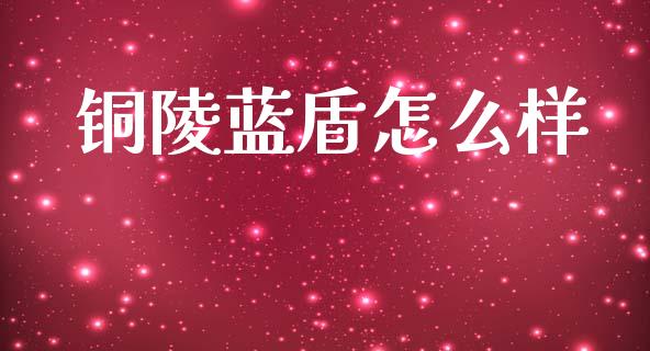 铜陵蓝盾怎么样_https://m.jnlaobingbanjia.com_股市新闻_第1张