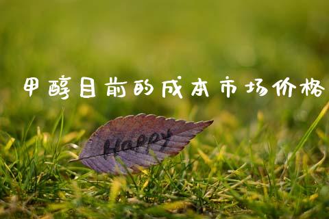 甲醇目前的成本市场价格_https://m.jnlaobingbanjia.com_理财规划_第1张