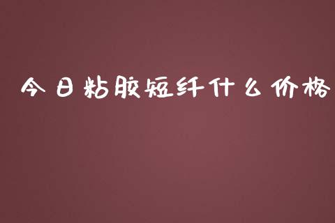 今日粘胶短纤什么价格_https://m.jnlaobingbanjia.com_区块链_第1张