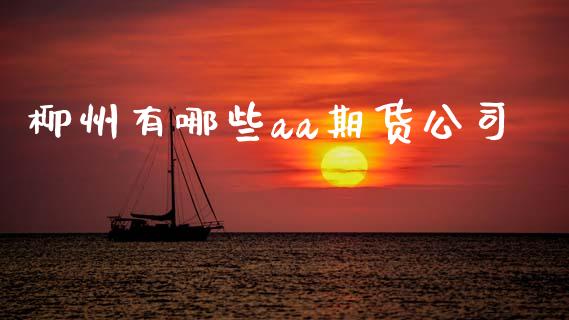 柳州有哪些aa期货公司_https://m.jnlaobingbanjia.com_区块链_第1张