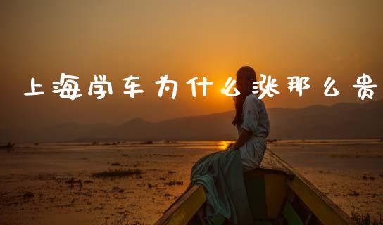 上海学车为什么涨那么贵_https://m.jnlaobingbanjia.com_基金市场_第1张