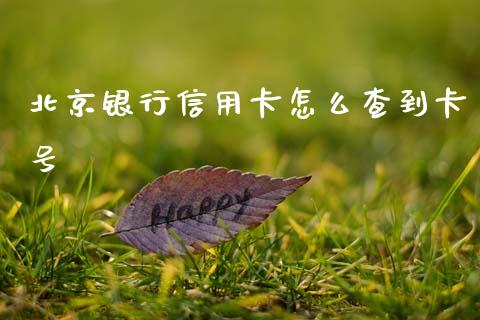 北京银行信用卡怎么查到卡号_https://m.jnlaobingbanjia.com_金融监管_第1张