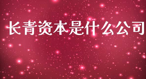 长青资本是什么公司_https://m.jnlaobingbanjia.com_金融监管_第1张