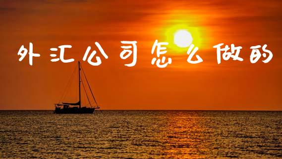 外汇公司怎么做的_https://m.jnlaobingbanjia.com_金融监管_第1张