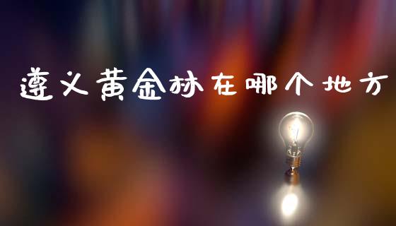 遵义黄金林在哪个地方_https://m.jnlaobingbanjia.com_全球市场_第1张