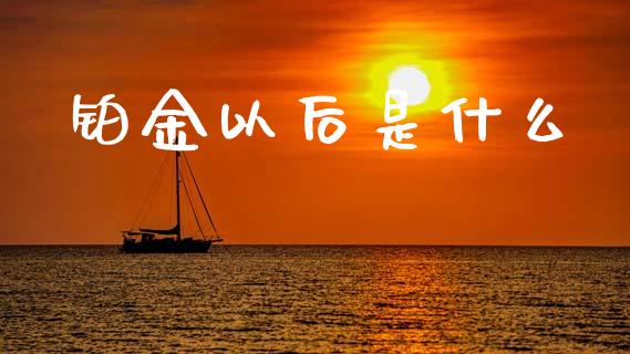 铂金以后是什么_https://m.jnlaobingbanjia.com_股市新闻_第1张