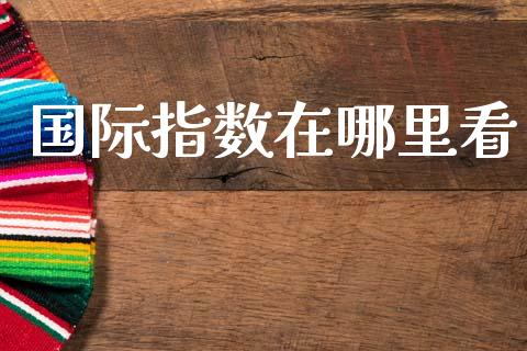 国际指数在哪里看_https://m.jnlaobingbanjia.com_股市新闻_第1张
