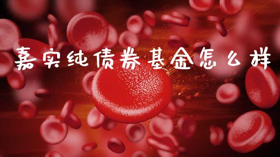 嘉实纯债券基金怎么样_https://m.jnlaobingbanjia.com_金融监管_第1张