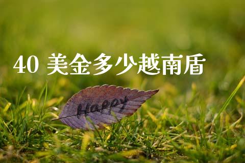 40 美金多少越南盾_https://m.jnlaobingbanjia.com_全球市场_第1张