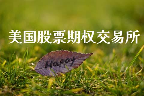 美国股票期权交易所_https://m.jnlaobingbanjia.com_全球市场_第1张