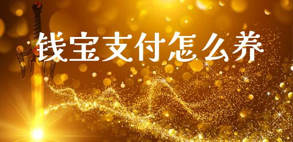 钱宝支付怎么养_https://m.jnlaobingbanjia.com_金融监管_第1张