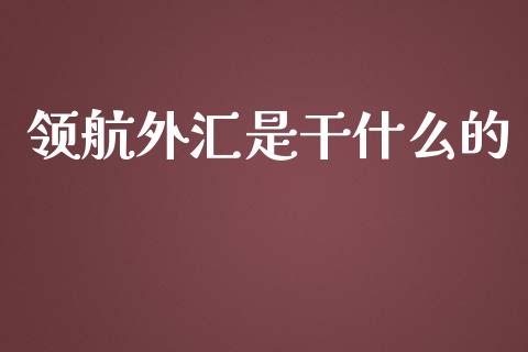领航外汇是干什么的_https://m.jnlaobingbanjia.com_基金市场_第1张