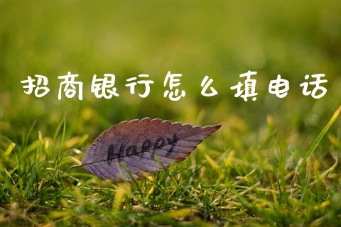招商银行怎么填电话_https://m.jnlaobingbanjia.com_理财规划_第1张