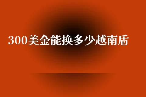 300美金能换多少越南盾_https://m.jnlaobingbanjia.com_股市新闻_第1张