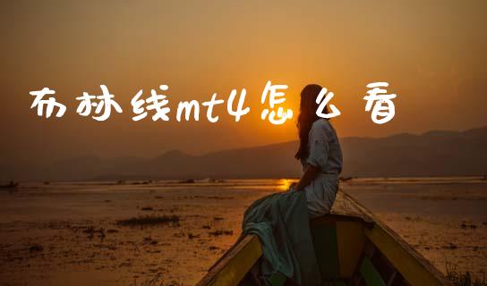 布林线mt4怎么看_https://m.jnlaobingbanjia.com_理财规划_第1张