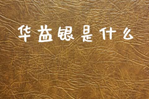 华益银是什么_https://m.jnlaobingbanjia.com_股市新闻_第1张