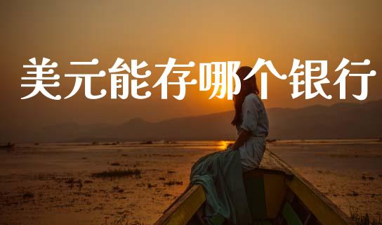 美元能存哪个银行_https://m.jnlaobingbanjia.com_金融监管_第1张