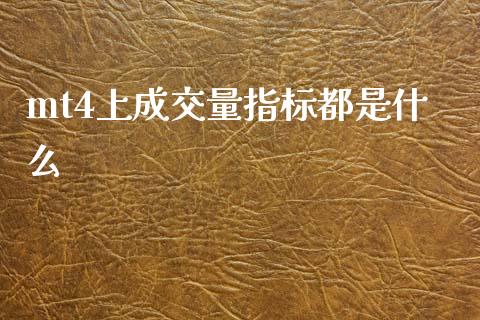 mt4上成交量指标都是什么_https://m.jnlaobingbanjia.com_全球市场_第1张