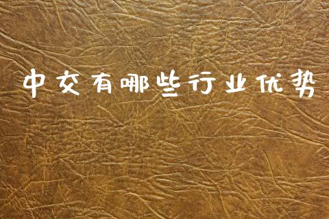 中交有哪些行业优势_https://m.jnlaobingbanjia.com_全球市场_第1张