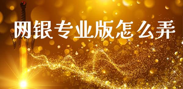 网银专业版怎么弄_https://m.jnlaobingbanjia.com_基金市场_第1张