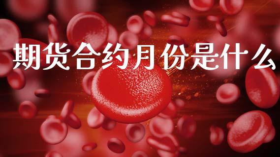 期货合约月份是什么_https://m.jnlaobingbanjia.com_全球市场_第1张