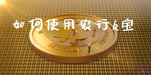 如何使用农行k宝_https://m.jnlaobingbanjia.com_基金市场_第1张
