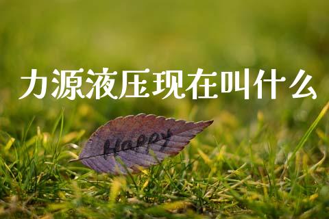 力源液压现在叫什么_https://m.jnlaobingbanjia.com_理财规划_第1张